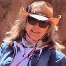 Can I use root hormone to start a Christmas cactus from a twisted off Clade  ?