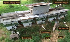 It is the oldest and most commonly used style in the world. Honey By The Ton From Top Bar Hives Bee Culture
