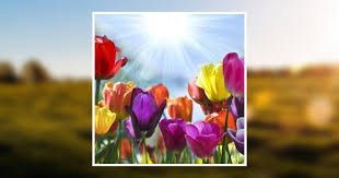 Florence Cullen Obituary May 27, 2004