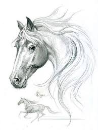 Dibujo Animales Schizzo Di Cavallo Disegni Di Cavalli Disegni