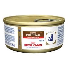 Royal Canin Veterinary Diet Gastro Intestinal Adult Cat Food Canned Cat Food Cat Food Food Animals