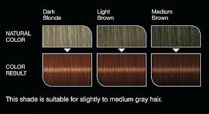 Shades Of Brown Hair Color Chart Keune Lajoshrich Com