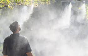 Parker Posey Raw Beauty - Uncensored Images & Provocative Galleries Intriguing