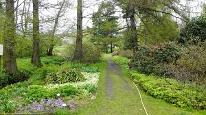 Alles für ein grünes zuhause. Tranquilly Picture Of Botanischer Garten Rostock Tripadvisor