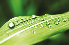 Jordan pt 🩸 ретвитнул(а) lulu luvs caleb. Maire Tecnimont Official Website