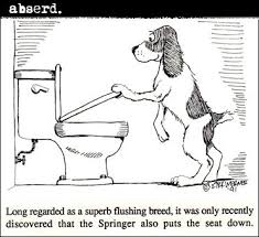 Black And White Springer Spaniel Cartoon Hehehe Springer Dog Springer Spaniel English Springer Spaniel