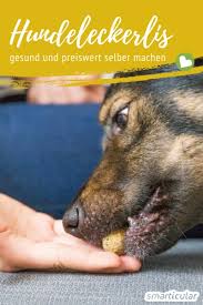 Auch hunde naschen gerne und lieben zwischendurch ein leckerli. Wildkrauter Fur Hunde Diese Krauter Sind Fur Hundekekse Geeignet