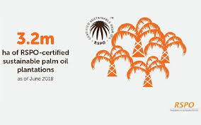 Palm oil trees grow at the united plantations bhd oil palm estate in this aerial photograph taken in perak, malaysia, on tuesday, nov. Palm Oil