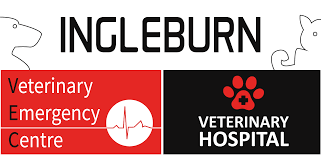 • internal medicine • neurology and neurosurgery • oncology and radiation therapy. Ingleburn Vet Hospital Emergency Centre Nsw Vet And Emergency Centre In Sydney West