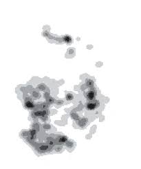 Image result for Floscopa leiothyrsa