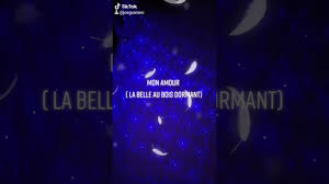 La belle au bois dormant (the sleeping beauty in the woods) is an opéra comique in three acts with music by charles lecocq and words by albert vanloo and georges duval. Mon Amour La Belle Au Bois Dormant Tong Drum Musique Relaxante Youtube