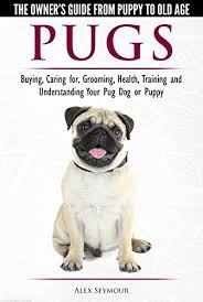Pugs The Owners Guide From Puppy To Old Age Choosing Caring For Grooming Health Training And Understanding Your Pug Dog Or Puppy See More