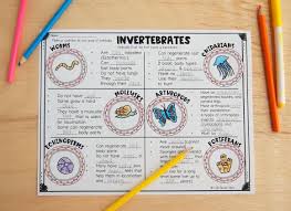 Vertebrate Invertebrate Visual Notes In 2020 Invertebrates Secondary Science Science Journal