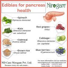 Herbal Remedies Have Long Been Used In Treating Pancreas Related Disorders Below Mentioned Are Th In 2021 Pancreatic Diet Recipes Diabetic Health Health And Nutrition