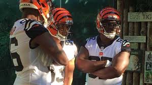 And the all black combo comparison. Cincinnati Zoo S White Tigers Inspire Bengals Jersey Design