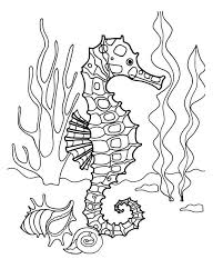 There is a design for everyone, from simple ones that kids in preschool and kindergarten will love to more detailed ones more suitable for older kids (or you). Cool Seahorse Coloring Page Free Printable Coloring Pages For Kids