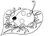 Does your child spend most of the time in coloring pictures? Ladybug Coloring Pages