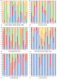 Image result for Dichilus bainesii