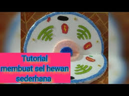 We did not find results for: Cara Membuat Sel Hewan Sederhana Mudah Simple Dan Murah Youtube