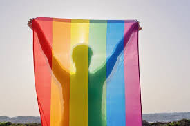 Happy #pridemonth from a coupla real ones. Why Do We Celebrate Gay Pride Month And Why Does It Still Matter The Diversity Trust