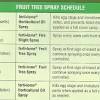 The maximum you should give a fruit tree in a year is 1 pound of actual nitrogen. 1