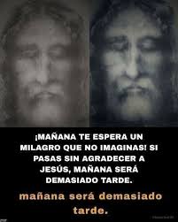 No saltes! Ofrécele una flor a Madre Teresa🌹🌹