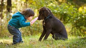 She takes the dog out three times a day. Faire De Son Chien Un Partenaire De Jeu Mon Jardin D Idees Mon Jardin D Idees Par Villaverde
