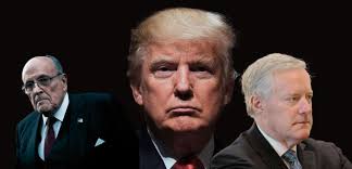 2020 presidential election Archives