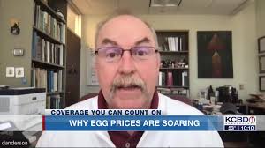Livestock economist explains increasing price of eggs