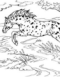 Download multiple horse coloring pages to create your own adult. Jumping Horse Coloring Page Breyerhorses Com