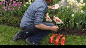 See more ideas about fish art, metal art, scroll saw patterns. Shop Ceramic Fish Fish Garden Sculptures Buy Fish Garden Art