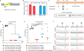 Not all of these have risen & become so the role of 501y is probably more complex. Molecular Determinants And Mechanism For Antibody Cocktail Preventing Sars Cov 2 Escape Nature Communications