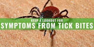 This can be a normal skin reaction to the bite. Keep A Lookout For Symptoms From Tick Bite This Summer