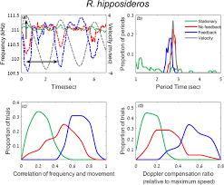 Fly fm from petaling jaya, malaysia. Echolocating Bats Can Adjust Sensory Acquisition Based On Internal Cues Bmc Biology Full Text