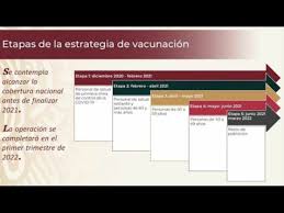 Y lo recomendable luego es aplicar cada 3 meses. La Jornada Empezara La Vacunacion En La Tercera Semana De Diciembre