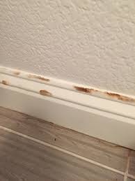 See more ideas about baseboards, baseboard styles, baseboard trim. What Is This Growing On My Bathroom Baseboard Mold Diy Home Improvement Forum