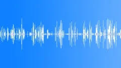 English for children is an educational website. Camel Sound Effects Royalty Free Camel Sounds Pond5