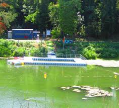 Pour les articles homonymes, voir villemur. Eaux Du Tarn Ou Piscine De Bernadou Ou Se Baigner Cet Ete Toulousain Villemur Sur Tarn Le Petit Journal