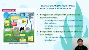 Sebelumnya china telah menjanjikan bantuan ribuan konsentrator oksigen ke india, termasuk ventilator dan generator oksigen. Bab 2 Ekosistem 2 2 Kitar Nutrien Dalam Ekosistem Youtube