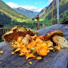 I.5 vals valsertal im winter. Mein Almsommer Bilder Aus Dem Valsertal Tirol Isch Toll