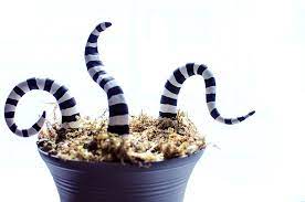 Every day new 3d models from all over the world. Diy Beetlejuice Potted Sand Worm Beetlejuice Halloween Diy Halloween Decorations Horror Crafts
