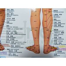 reflexology points in the leg reflexology points