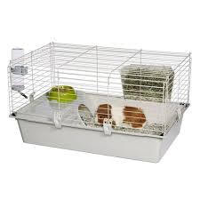 There are so many types of fruits, vegetables, and herbs that guinea pigs can eat. Ferplast Cavie Large Size Multi Level Guinea Pig Cage With Water Bottle Food Dish And Guinea Pig Hide Out Target