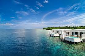Amilla Fushi Resort Maldives Luxury Resort Baa Atoll Maldives Luxury Resorts Luxury Resort Luxury Beach Resorts