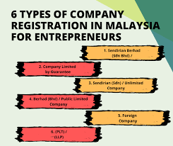 An investment company should always be operating with a fund of capital supplied by investors, making it a pooled fund of capital. 6 Types Of Company Company Secretarial Malaysia Facebook