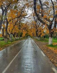 إليك أجمل و أروع 18 صورة لفصل الخريف في الجزائر في بلادي Beautiful Pictures Country Roads Tourism