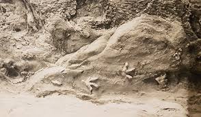 Maybe you would like to learn more about one of these? Bijuterii Nesemnificativ Calcul Dinosaur Footprints Puzzle Justan Net