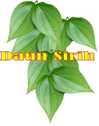 Manfaat daun sirih untuk kesehatan. 36 Daun Sirih Png Golek Gambar