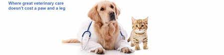 Vet prices can vary greatly depending on your geographic location and the specific provider you choose. Boca Veterinary Clinic Vet In Boca Boca Raton Veterinarian Top Care