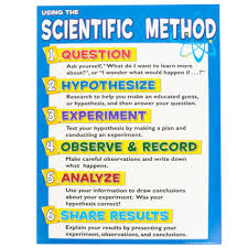 teacher created resources anchor chart scientific method